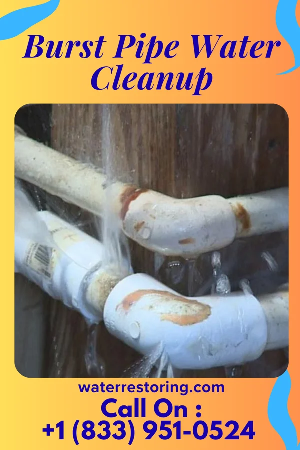 Burst Pipe Water Cleanup in Jamison City, PA
