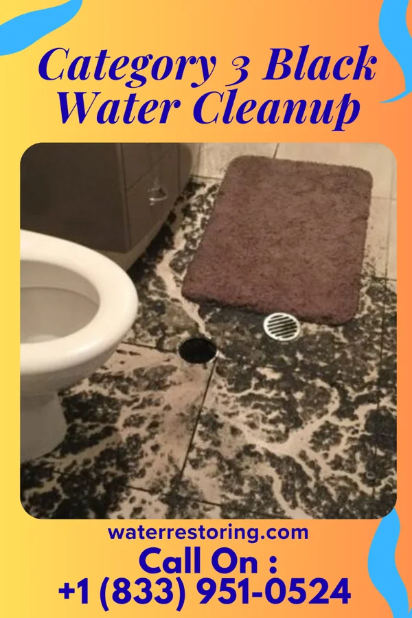 Category 3 Black Water Cleanup in Jamison City, PA