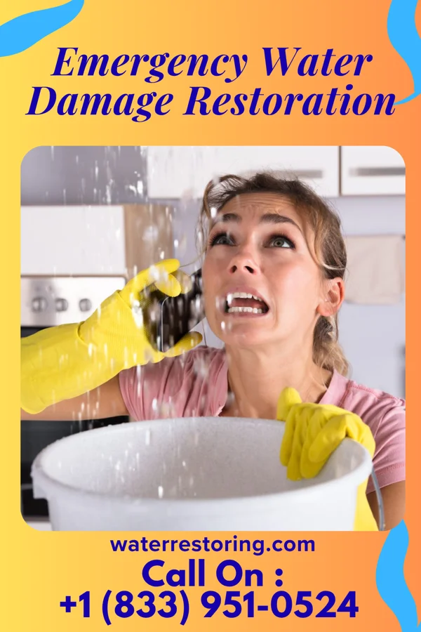 Emergency Water Damage Restoration in Jamison City, PA