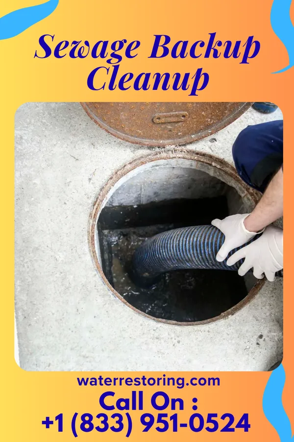 Sewage Backup Cleanup in Jamison City, PA