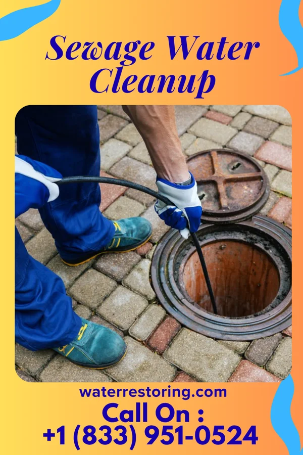 Sewage Water Cleanup in Jamison City, PA