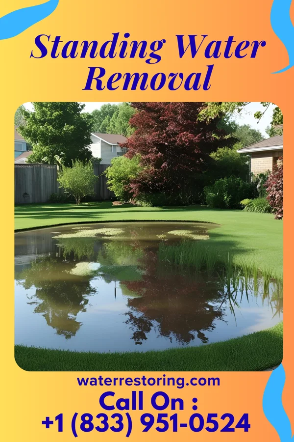 Standing Water Removal in Jamison City, PA